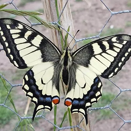 Cottage in Leenderstrijp near Nature Reserve Leende