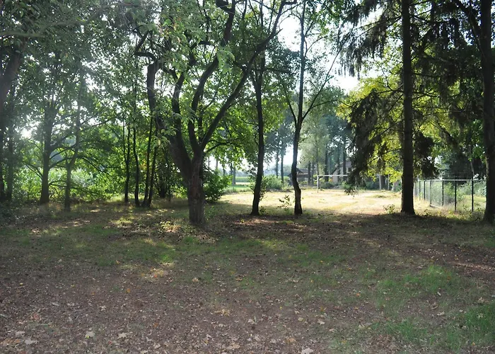 Cozy In Leenderbos With Hot Tub *