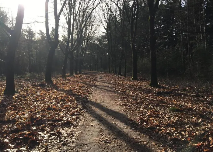 Cozy In Leenderbos With Hot Tub 別荘 レーンデ