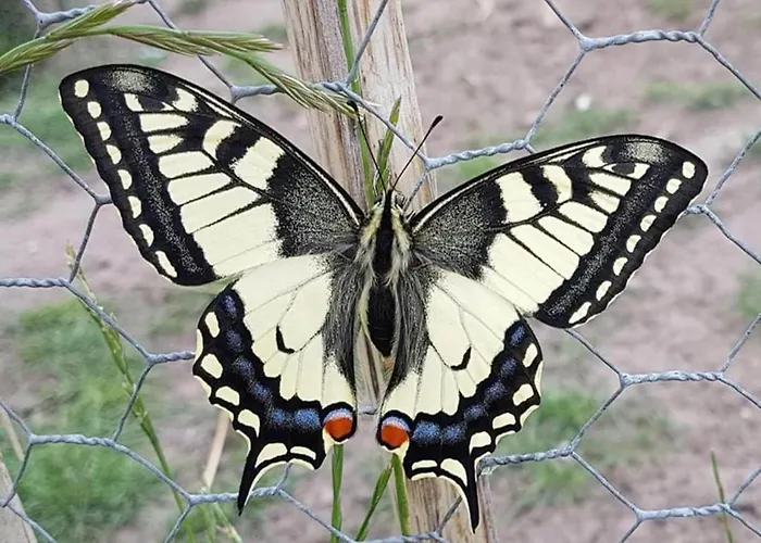 Cozy In Leenderbos With Hot Tub レーンデ